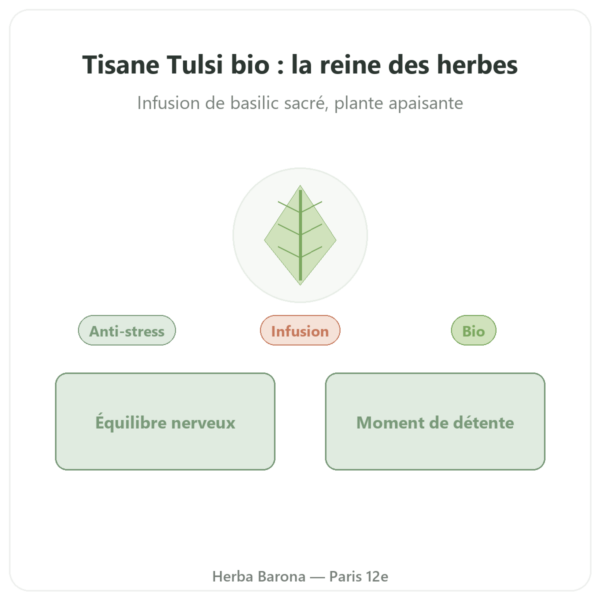 Tisane Tulsi Bio 25 sachets Ayur-vana presentation Paris Herba Barona