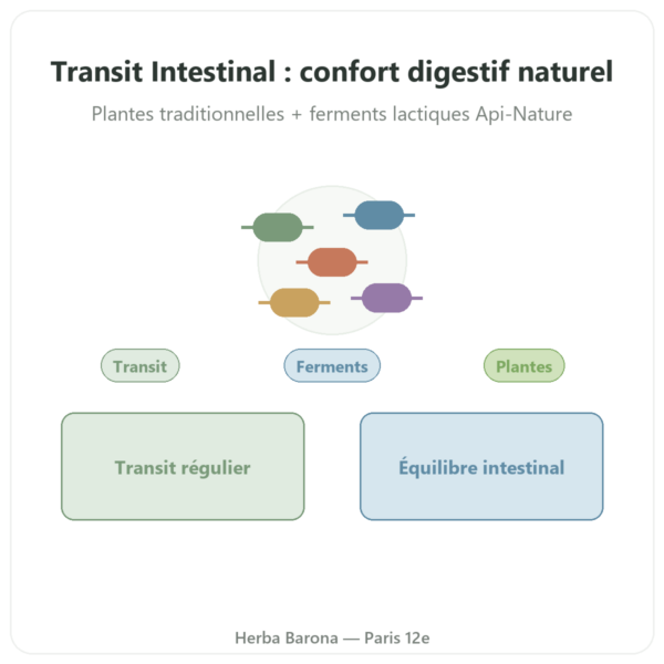 Transit Intestinal Essence Pure 30 gélules presentation Paris Herba Barona