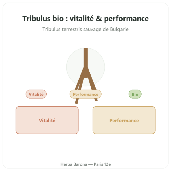 Tribulus bio Dynveo VemoHerb TS – 90% saponines 120 gélules presentation Paris Herba Barona