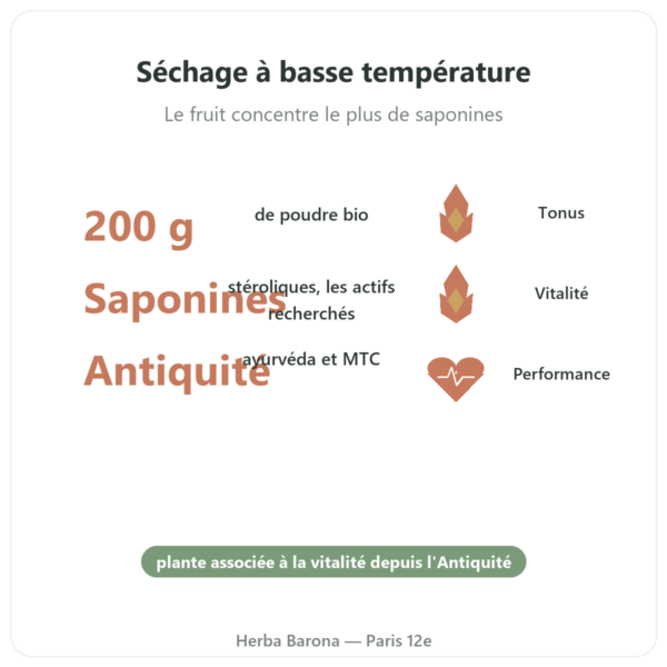 Tribulus Terrestris Bio en poudre 200g – Premium – Vegetopie bienfaits et chiffres Paris Herba Barona