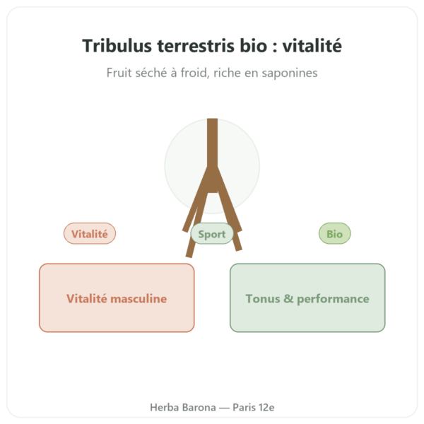 Tribulus Terrestris Bio en poudre 200g – Premium – Vegetopie presentation Paris Herba Barona