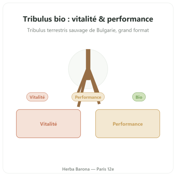 Tribulus terrestris Dynveo bio 300 gélules presentation Paris Herba Barona