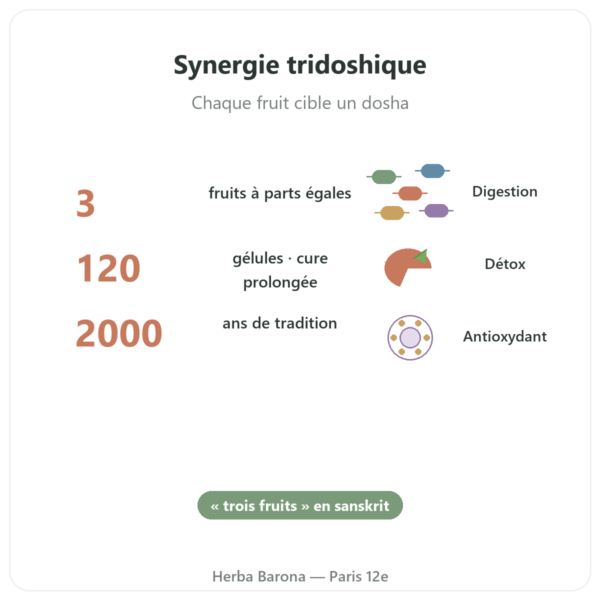 Triphala – Ayur-vana – 120 gélules bienfaits et chiffres Paris Herba Barona