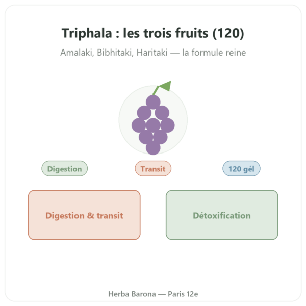 Triphala – Ayur-vana – 120 gélules presentation Paris Herba Barona