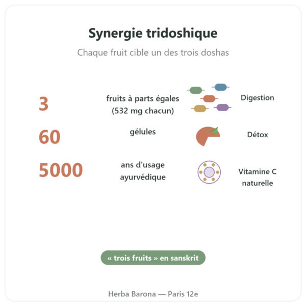 Triphala – Ayur-vana – 60 gélules bienfaits et chiffres Paris Herba Barona
