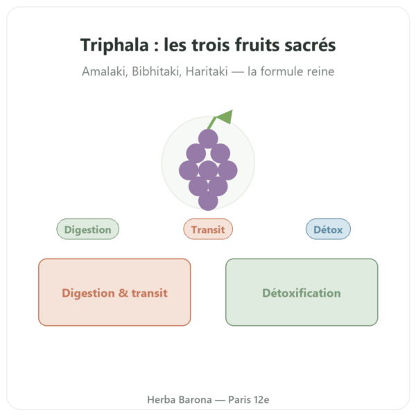 Triphala – Ayur-vana – 60 gélules presentation Paris Herba Barona