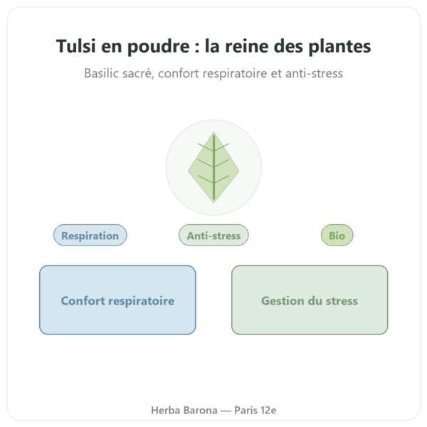 Tulsi bio (basilic sacre) - Sachet de poudre - 150 g - Ayur-vana presentation Paris Herba Barona