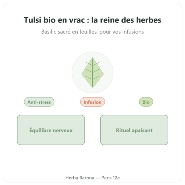 Tulsi bio en vrac – sachet de 100 g – Ayur vana presentation Paris Herba Barona