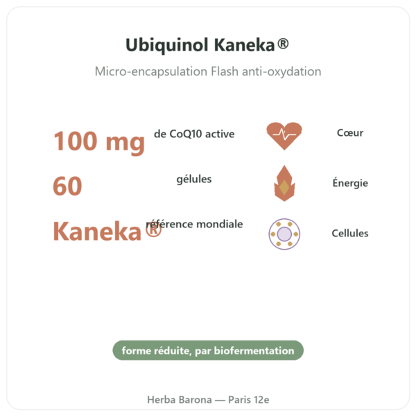 Ubiquinol 100 mg CoQ10 – 60 gélules – Dynveo bienfaits et chiffres Paris Herba Barona