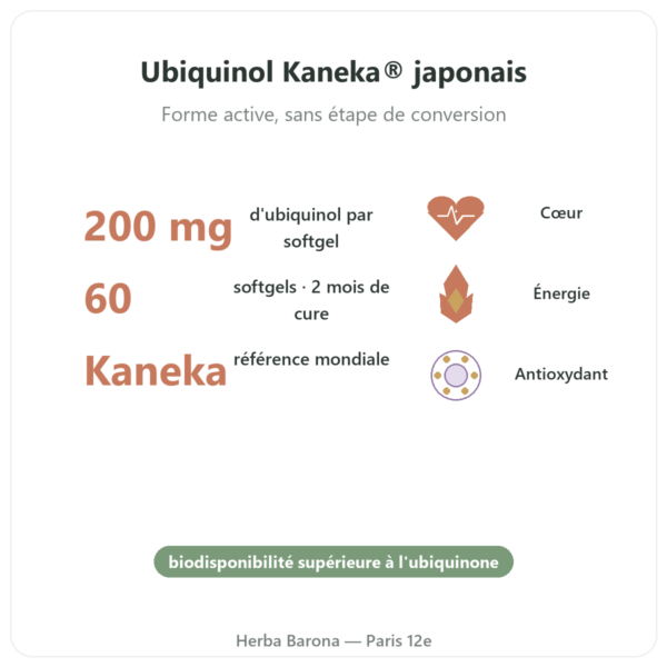 Ubiquinol Kaneka 200 mg – Now Foods – 60 softgels bienfaits et chiffres Paris Herba Barona