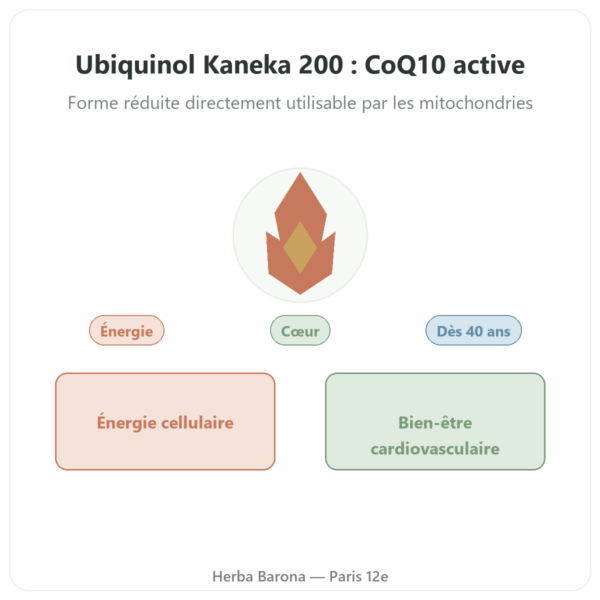 Ubiquinol Kaneka 200 mg – Now Foods – 60 softgels presentation Paris Herba Barona