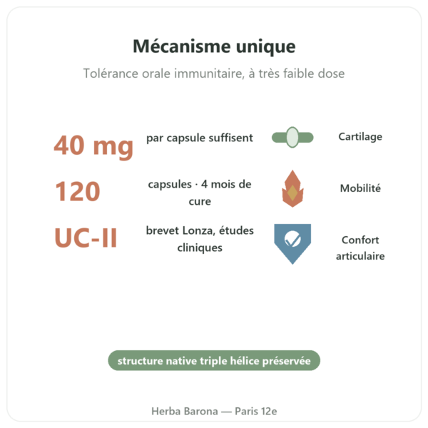 UC-II Collagène Type 2 NOW Foods 120 capsules bienfaits et chiffres Paris Herba Barona