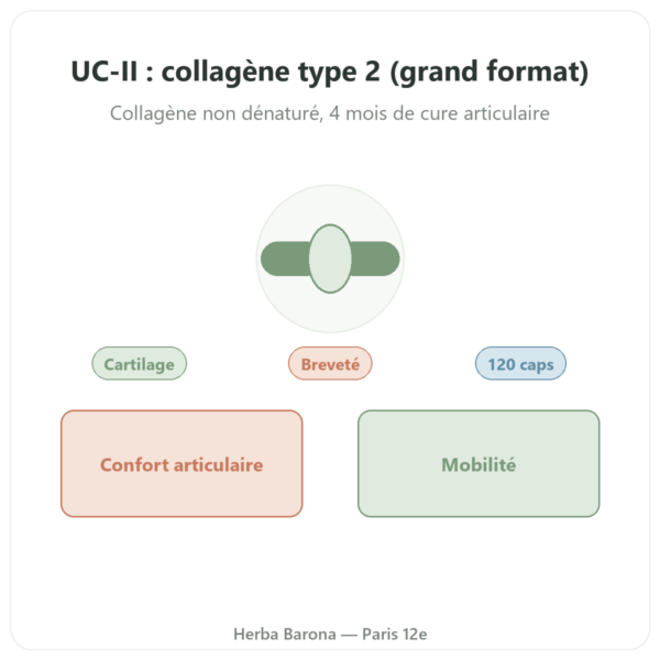 UC-II Collagène Type 2 NOW Foods 120 capsules presentation Paris Herba Barona