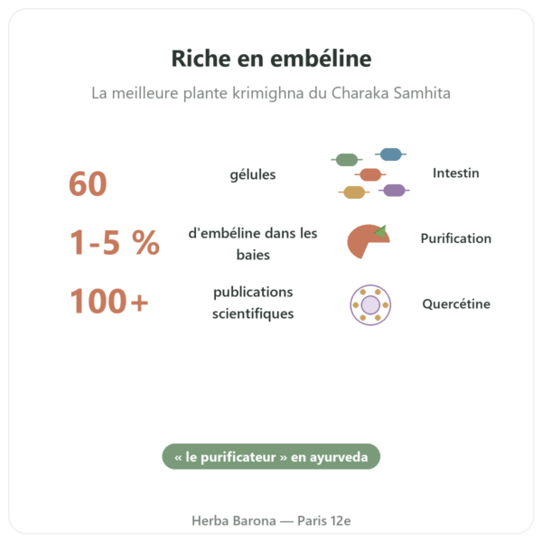 Vidanga (Embelia ribes) ayur vana 60 gélules bienfaits et chiffres Paris Herba Barona