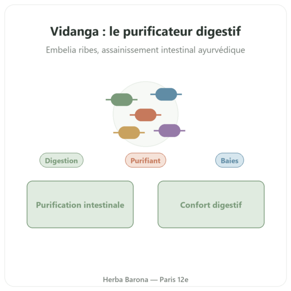 Vidanga (Embelia ribes) ayur vana 60 gélules presentation Paris Herba Barona