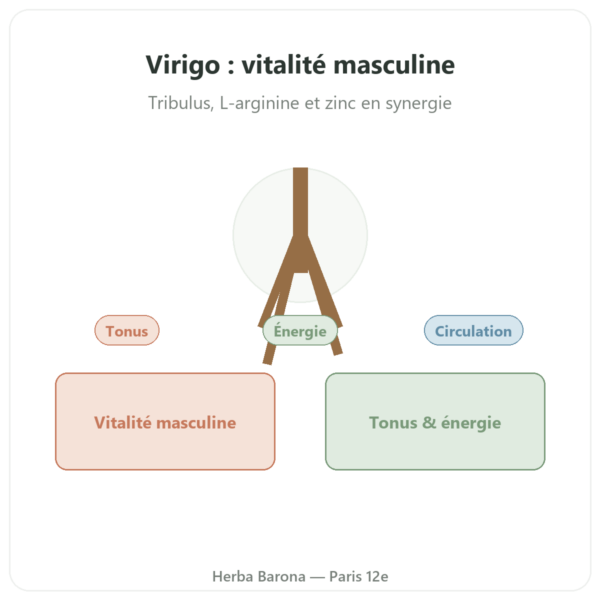 Virigo – Distriform' – 60 gélules – Vitalité masculine presentation Paris Herba Barona