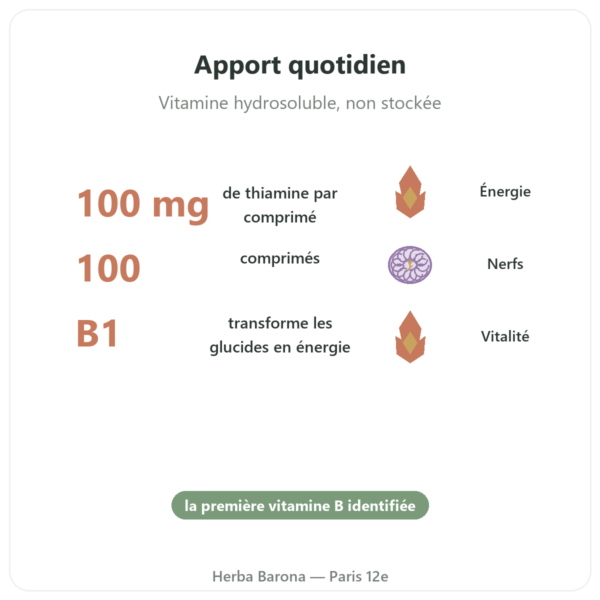 Vitamine B-1 Thiamine – Now Foods – 100mg – 100 Comprimés bienfaits et chiffres Paris Herba Barona
