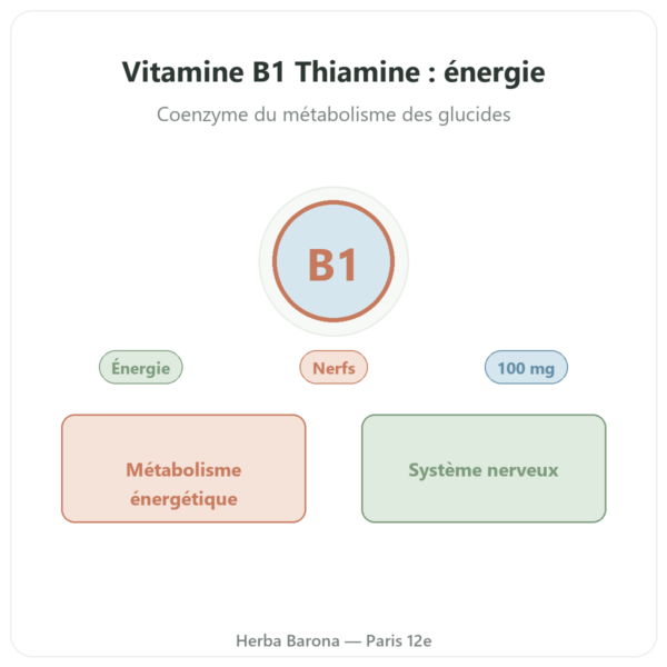 Vitamine B-1 Thiamine – Now Foods – 100mg – 100 Comprimés presentation Paris Herba Barona