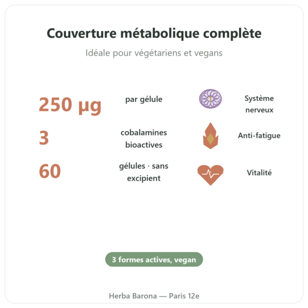 Vitamine B12 Dynveo 60 gélules 250ug 3 formes actives bienfaits et chiffres Paris Herba Barona
