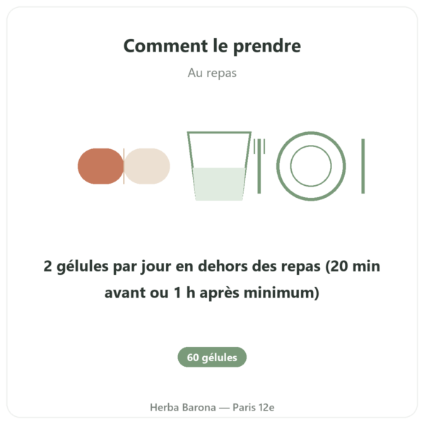 Vitamine B12 Dynveo 60 gélules 250ug 3 formes actives mode emploi conseil de prise Paris Herba Barona
