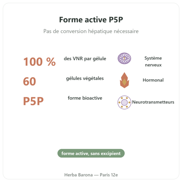 Vitamine B6 – Pyridoxal 5-phosphate (P5P) -Dynveo- 60 gélules bienfaits et chiffres Paris Herba Barona