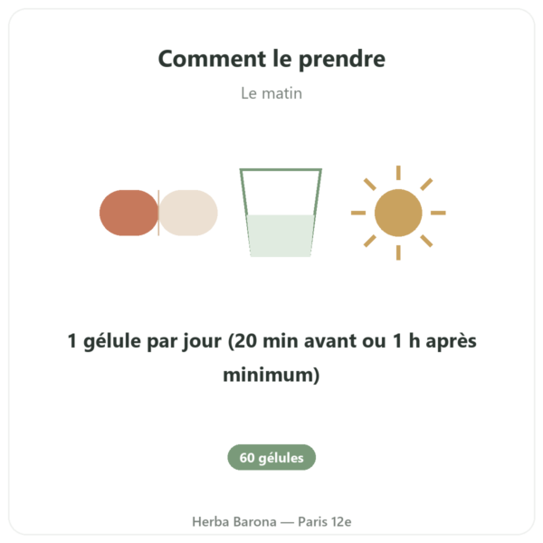 Vitamine B6 – Pyridoxal 5-phosphate (P5P) -Dynveo- 60 gélules mode emploi conseil de prise Paris Herba Barona