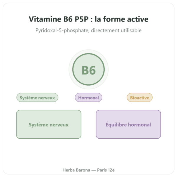 Vitamine B6 – Pyridoxal 5-phosphate (P5P) -Dynveo- 60 gélules presentation Paris Herba Barona