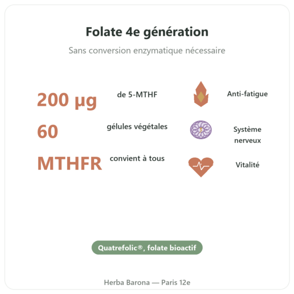 Vitamine B9 Quatrefolic Dynveo 200 ug 60 gélules bienfaits et chiffres Paris Herba Barona