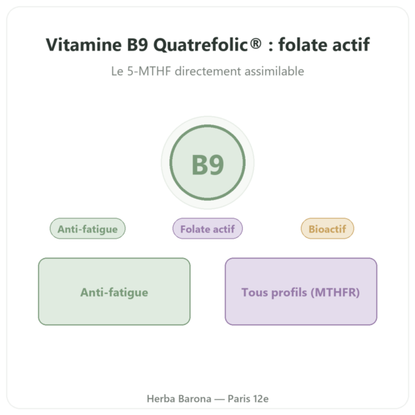 Vitamine B9 Quatrefolic Dynveo 200 ug 60 gélules presentation Paris Herba Barona