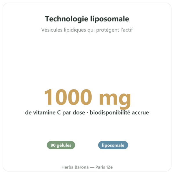 Vitamine C Liposomale 1000 mg 90 Gélules Novoma - Acheter bienfaits et chiffres Paris Herba Barona