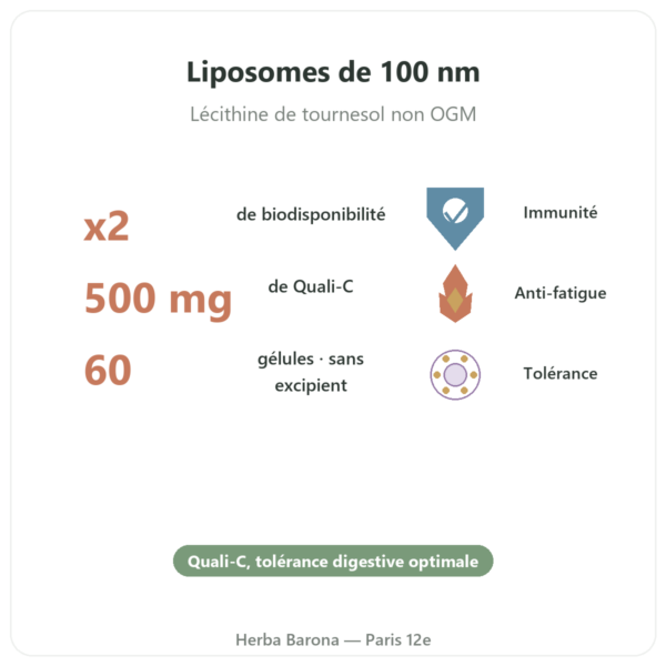 Vitamine C liposomale – 60 gélules – Dynveo bienfaits et chiffres Paris Herba Barona