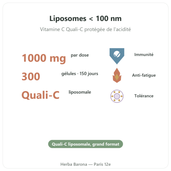 Vitamine C Liposomale Dynveo 300 gélules bienfaits et chiffres Paris Herba Barona