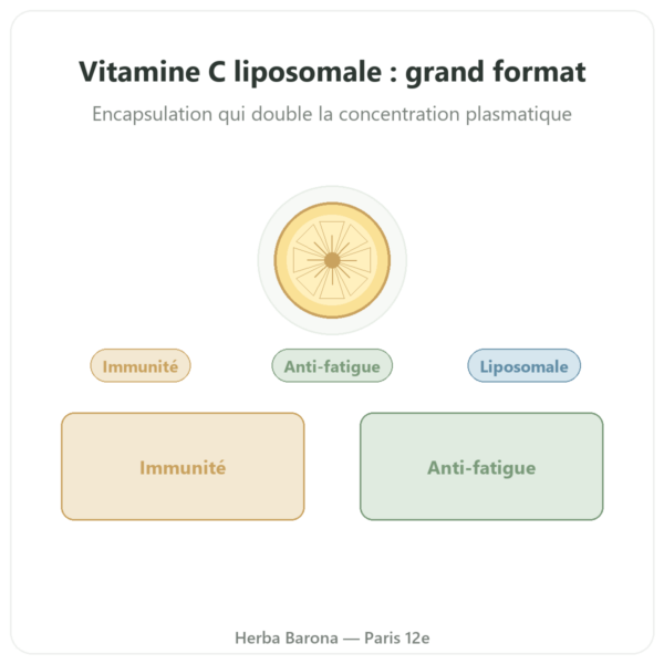 Vitamine C Liposomale Dynveo 300 gélules presentation Paris Herba Barona