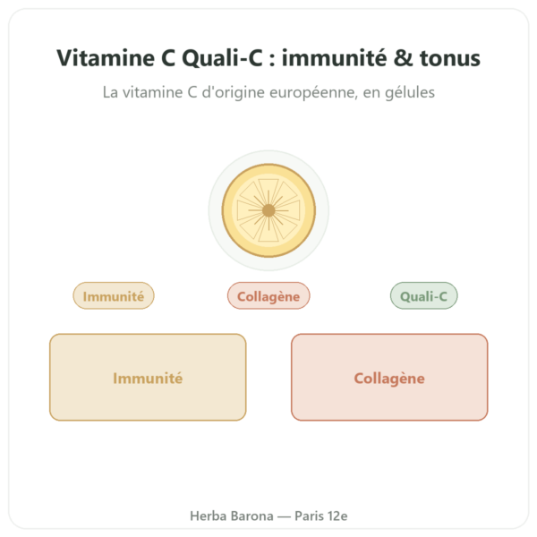 Vitamine C Quali®-C -Dynveo – 500mg – 60 gélules presentation Paris Herba Barona
