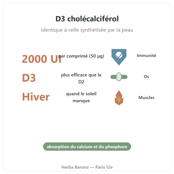 Vitamine D3 FORTE – 2000 U.I. – Dr. Jacob's bienfaits et chiffres Paris Herba Barona