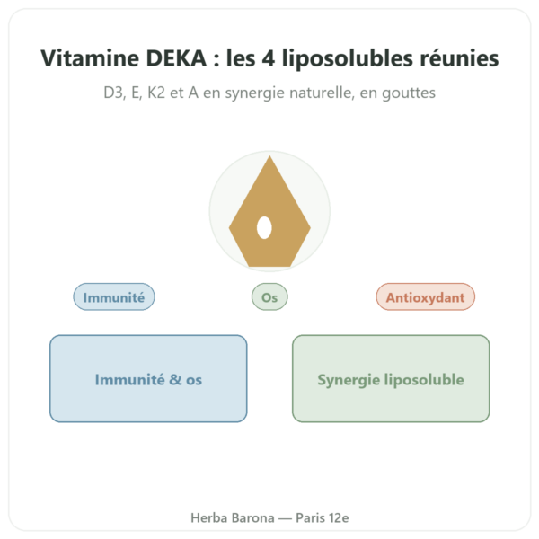 Vitamine DEKA – Dr Jacob's – Gouttes presentation Paris Herba Barona