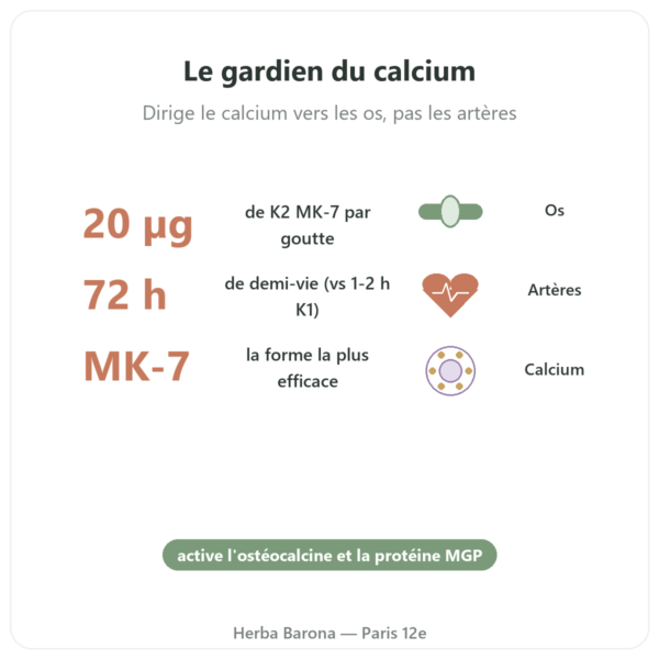 Vitamine K2 MK-7 Gouttes – Dr Jacob's – 20 µg/goutte bienfaits et chiffres Paris Herba Barona