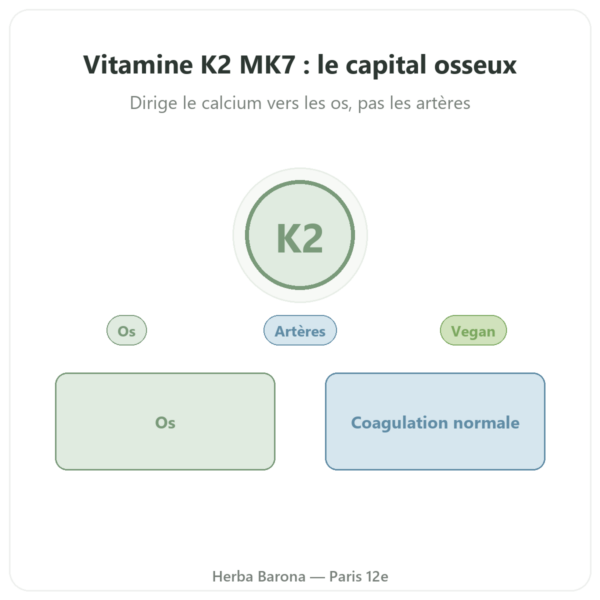 Vitamine K2 MK7 – 80µg – Dynveo – 60 Gél. presentation Paris Herba Barona