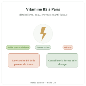 Vitamine B5