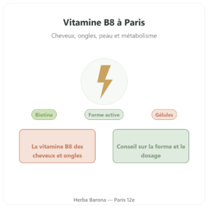 Vitamine B8