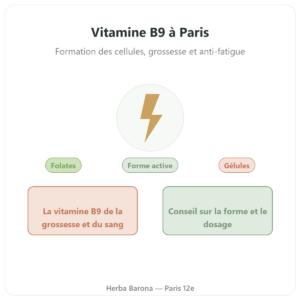 Vitamine B9
