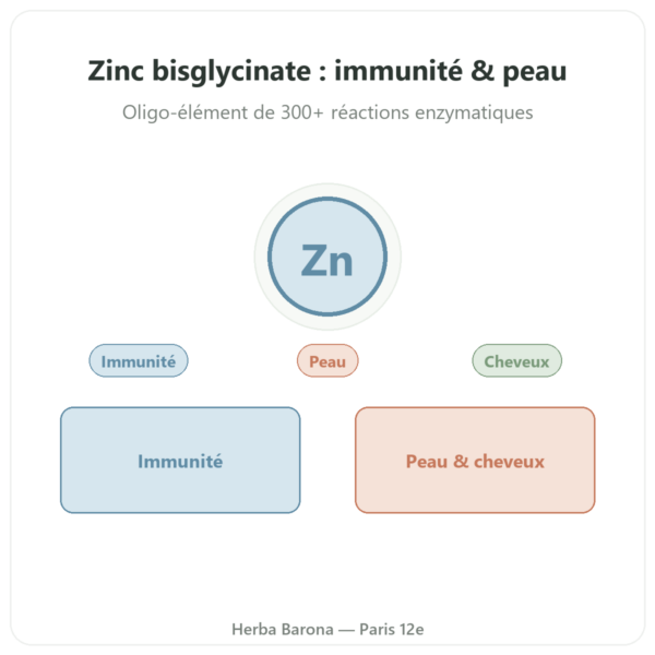 Zinc bisglycinate Dynveo -10 Mg – 60 Gél. presentation Paris Herba Barona