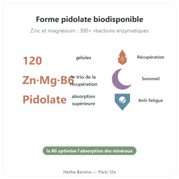 ZMB Pidolate – Nutrimuscle 120 gélules bienfaits et chiffres Paris Herba Barona