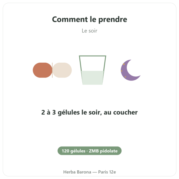 ZMB Pidolate – Nutrimuscle 120 gélules mode emploi conseil de prise Paris Herba Barona