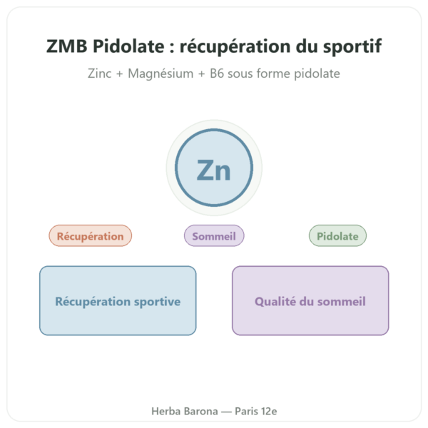 ZMB Pidolate – Nutrimuscle 120 gélules presentation Paris Herba Barona