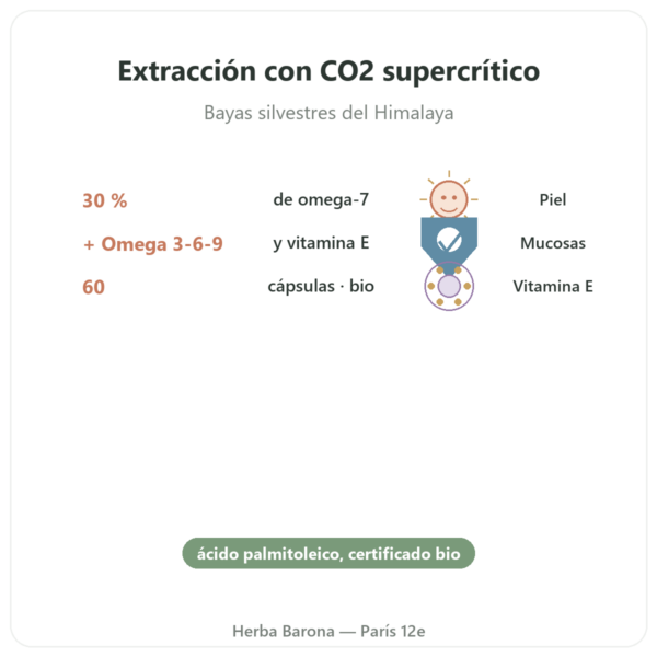 Aceite de Espino Amarillo Omega-7 – Dynveo – 60 cápsulas beneficios y datos clave Paris Herba Barona