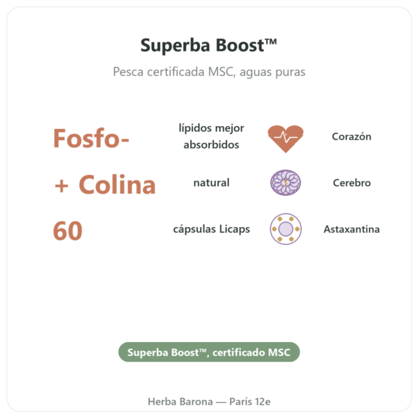 Aceite de Krill puro Superba Boost™ – 60 cápsulas – Dynveo beneficios y datos clave Paris Herba Barona