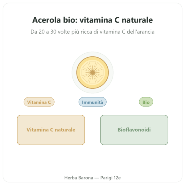 Acerola BIO – 60 capsule – 500 mg – Dynveo presentazione Paris Herba Barona