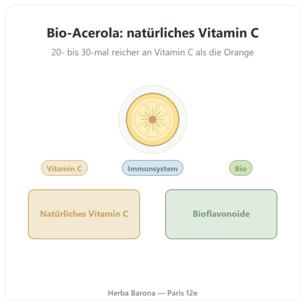 Acerola Bio – Dynveo – 500 mg – 60 Kapseln Vorstellung Paris Herba Barona