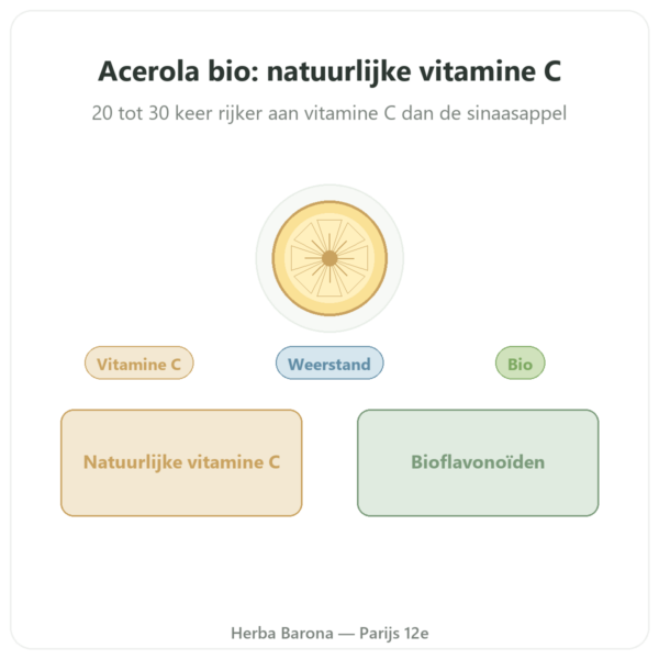 Acerola BIO – 60 capsules – 500 mg – Dynveo presentatie Paris Herba Barona
